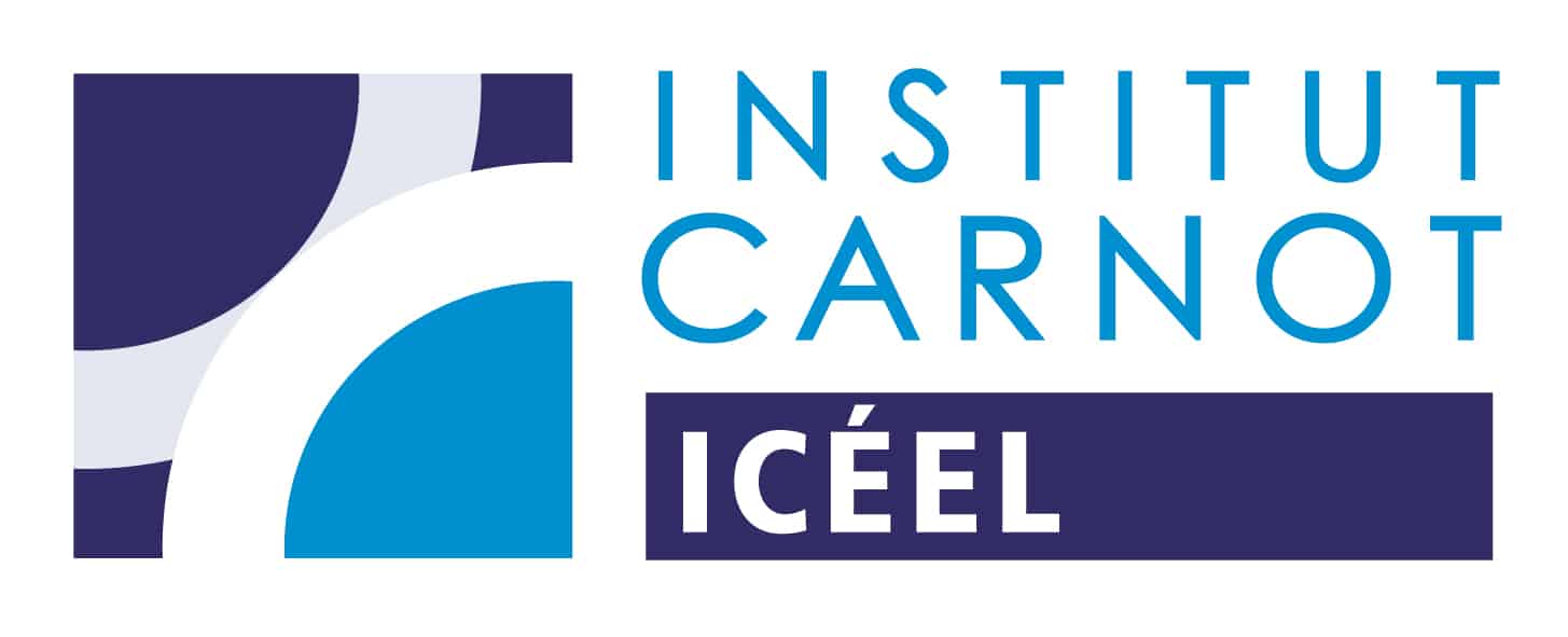 Institut Carnot ICEEL