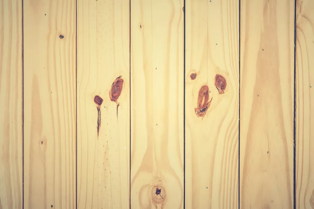 resineuxplanche